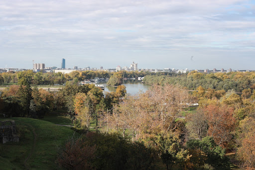 Foto: Beta/Miloš Miškov